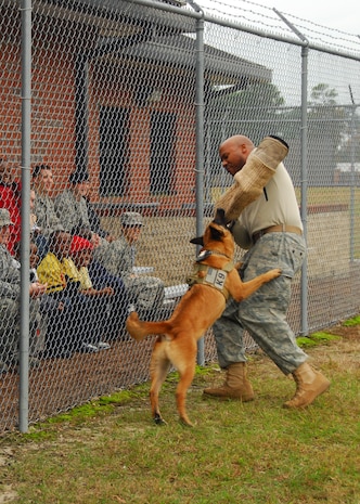 Staff Sgt. Ramone Alexander helps demonstrate the training and abilities of Akim, a military working dog with the 437th Security Forces Squadron, during a tour hosted by the Airman Leadership School here for students from Memminger Elementary School Dec. 4. This year marks the fourth annual tour ALS has hosted. Staff Sgt. Alexander is a dog handler assigned to the 437 SFS. (U.S. Air Force photo/Airman 1st Class Lauren Laidlaw)