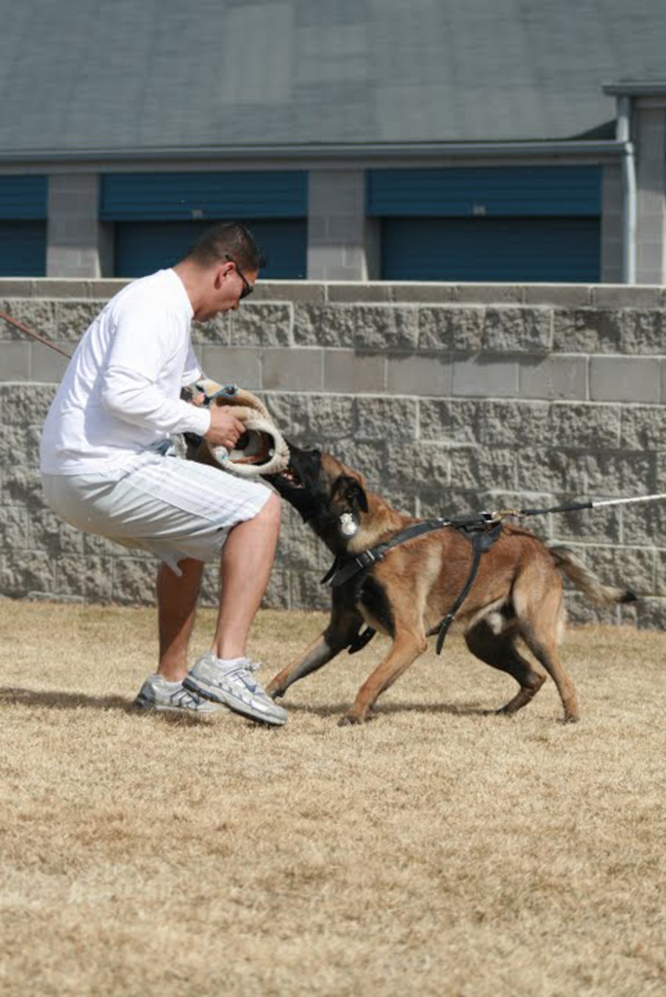 Tech. Sgt. Jesse Tames wears a hard sleeve to test the strength of a dogs bite. This test helps Sergeant Tames determine if a dog is suitable for service in the Colo. Police Force. (Courtesy Photo)
