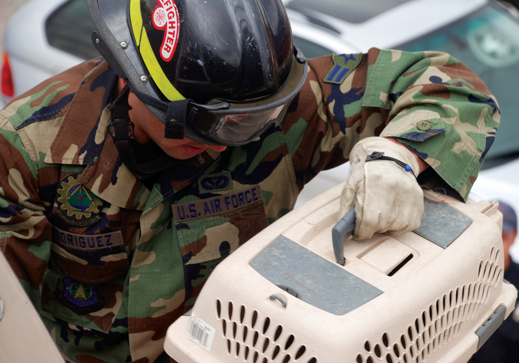 Airman Rodriguez takes the pet container from Sergeant Smith and begins the climb down to ground level where an eager Mrs. Sauerwine is waiting.