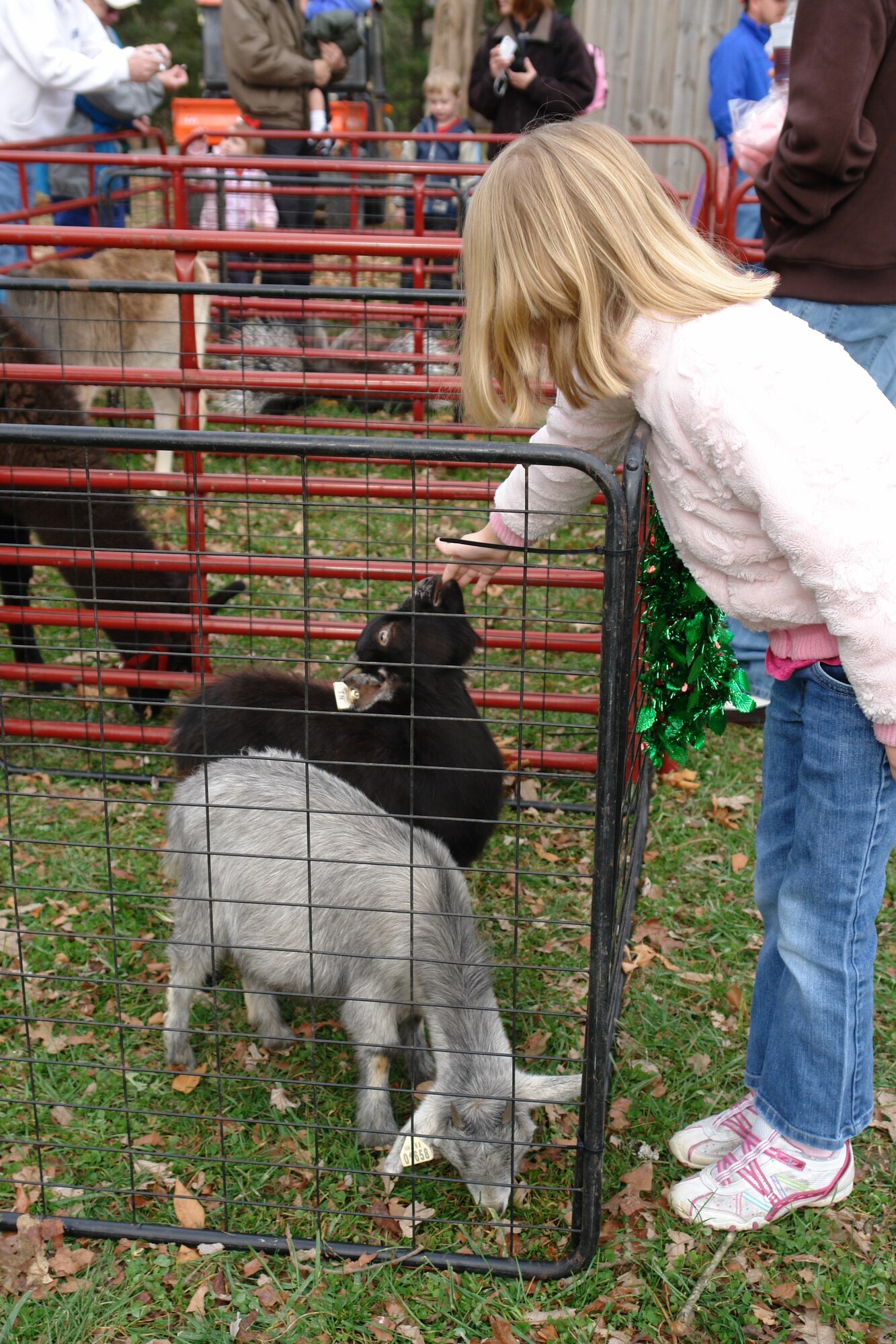 A little girl tries to pet the goats at the Petting Zoo set up at the Children’s Christmas Party Dec. 6 at the Arnold Lakeside Center at Arnold Air Force Base. (Photo by Andrea Stephens)

