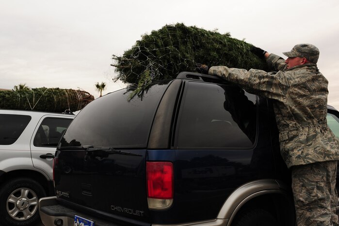 NELLIS AIR FORCE BASE, Nev. -- Airman 1st Class Aaryn Meeds, 99th Civil Engineering Squadron, loads a donated Christmas tree on a car outside the Base Chapel Dec. 11. For the fifth consecutive year, The Trees for Troops program, sponsored by the Christmas SPIRIT Foundation and FedEx Corp, provided trees for servicemembers. This year, 15,000 trees from 29 states are expected to be delivered to military bases in the United States and overseas. 
(U.S. Air Force Photo / Staff Sgt. William P. Coleman)