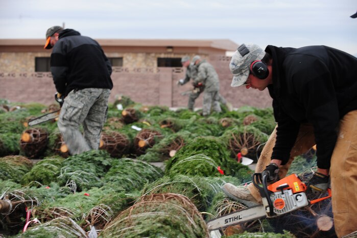 NELLIS AIR FORCE BASE, Nev.-- Airmen from the 99th Civil Engineering Squadron volunteer to make a fresh cut off the ends of more than 700 donated Christmas trees at the Base Chapel Dec. 11. For the fifth consecutive year, The Trees for Troops program, sponsored by the Christmas SPIRIT Foundation and FedEx Corp, provided trees for servicemembers. This year, 15,000 trees from 29 states are expected to be delivered to military bases in the United States and overseas. 
(U.S. Air Force Photo / Staff Sgt. William P. Coleman)