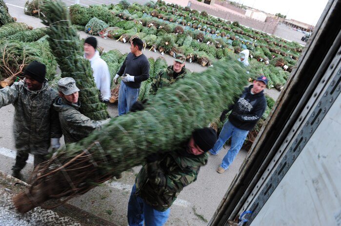 NELLIS AIR FORCE BASE, Nev.-- Airmen volunteer to unload donated Christmas trees from a FedEx truck at the Base Chapel parking lot  Dec. 11. For the fifth consecutive year, The Trees for Troops program, sponsored by the Christmas SPIRIT Foundation and FedEx Corp, provided trees for servicemembers. This year, 15,000 trees from 29 states are expected to be delivered to military bases in the United States and overseas. 
(U.S. Air Force Photo / Staff Sgt. William P. Coleman)