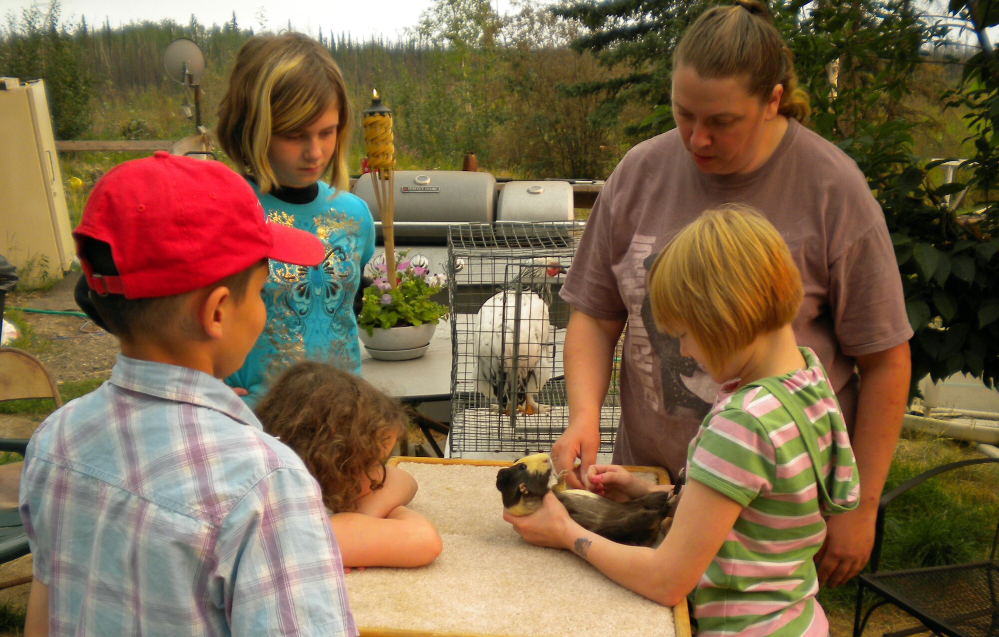 Tech. Sgt. Beth Norman, 213th Space Warning Squadron, teaches Haley Carson (left), daughter of Tech. Sgt. Aaron Helt, 213th how to show a cavy, more commonly known as a guinea pig, while Trenton Fields, Lauryn Helt, and Emily Carson watch during the Furred and Feathered Friends 4-H Club Showmanship Clinic in July. (Air Force photo by Alaena Helt)


