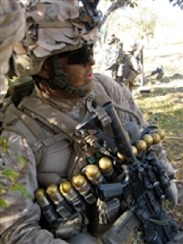 A U.S. Marine with Lima Company, 3rd Battalion, 4th Marine Regiment takes cover in an orchard in the Now Zad Valley, Afghanistan, on Dec. 4, 2009.  The Marines are clearing the area of the insurgent threat so the Afghans can return to their homes.  