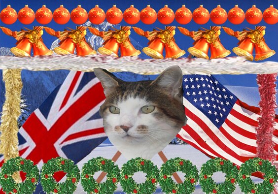 British Billy would like to wish all his friends and admirers a very Happy Christmas. Sample the delights of a traditional British Christmas by pulling Christmas crackers, eating mince pies and Christmas pudding and sitting down on Christmas afternoon to listen to the Queen's  Christmas Day broadcast.
Feel free to send Billy any questions you have about life in the U.K., and when he isn’t sleeping or hunting, he’ll try and put a few thoughts together to help you out.