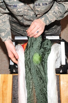 Airman 1st Class Emily Bertini, 4th Operations Support Squadron life support journeyman, packs a folded parachute canopy into a holding container on Seymour Johnson Air Force Base, N.C., Dec. 15, 2009. The parachutes are four different colors: tan, white, green and orange. The colors mimic terrain aircrew might encounter if they need to eject from their aircraft. Airman Bertini is originally from Springtown, Texas. (U.S. Air Force photo/Airman 1st Class Rae Perry)