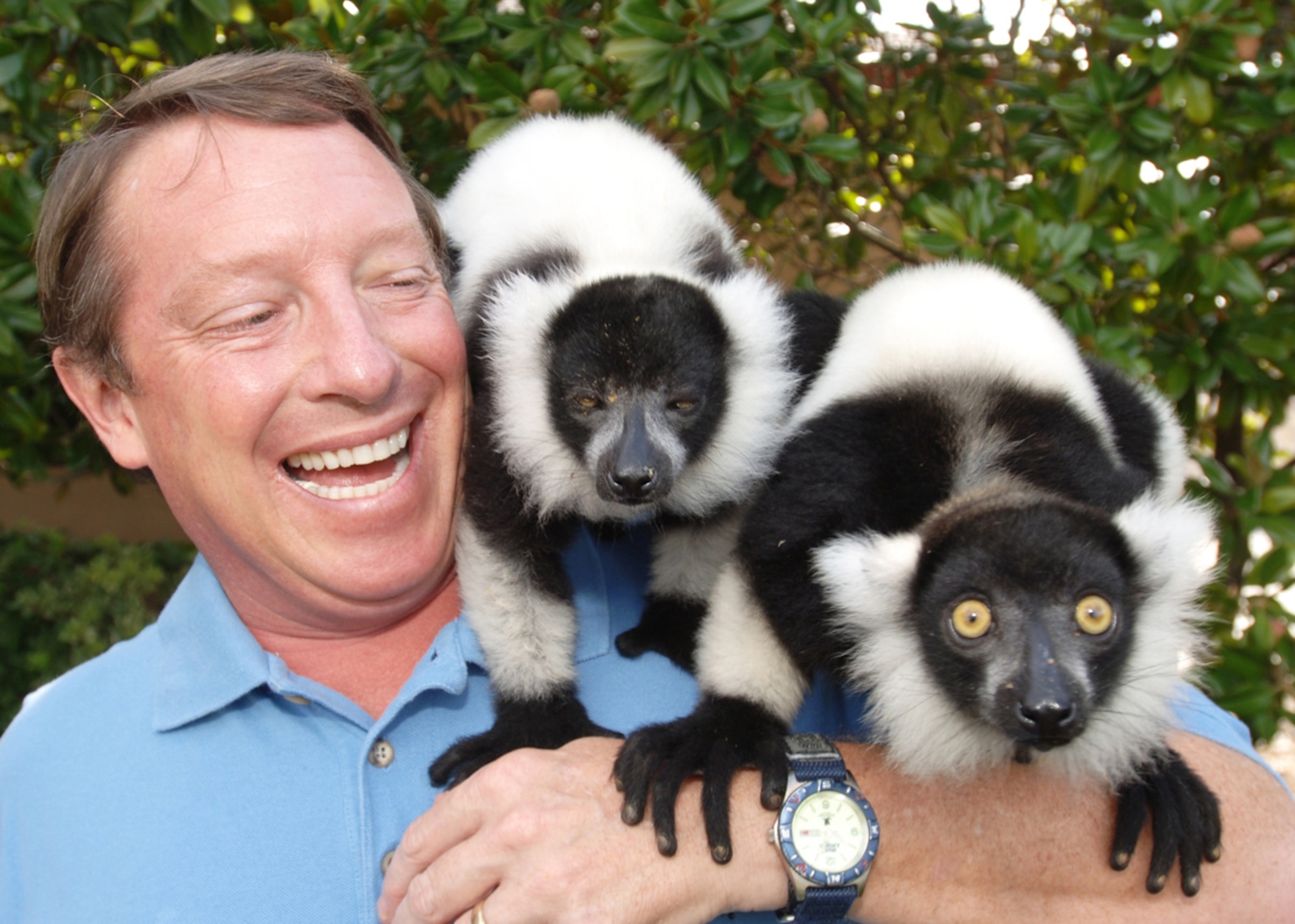 Curious lemurs educate guests on the importance of conservation at SeaWorld San Antonio. A tribute program that has provided free admission to SeaWorld and Busch Gardens for more than 4 million members of U.S. and coalition armed forces and their families has been extended through 2010. (Courtesy photo)