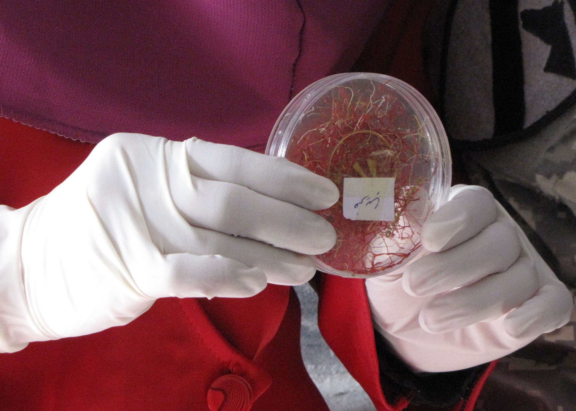 BAGRAM AIRFIELD, Afghanistan -- An Afghan woman from the Panjshir valley holds a plastic container of saffron as an example of how it should be sorted. Saffron is a very valuable herb commonly used in cooking that has recently been introduced to the Afghan countryside. Women grow it, sort it, and then sell it to companies as a means to increase their livelihood. (U.S. Air Force photo/1st Lt. Kathryn Graves)