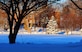 OFFUTT AIR FORCE BASE, Neb.- Several inches of snow create a scenic winter wonderland on the base's historic General's Row and parade grounds Dec. 28. Two snow storms in recent weeks dropped several feet of snow on the area.  U.S. Air Force photo by Josh Plueger