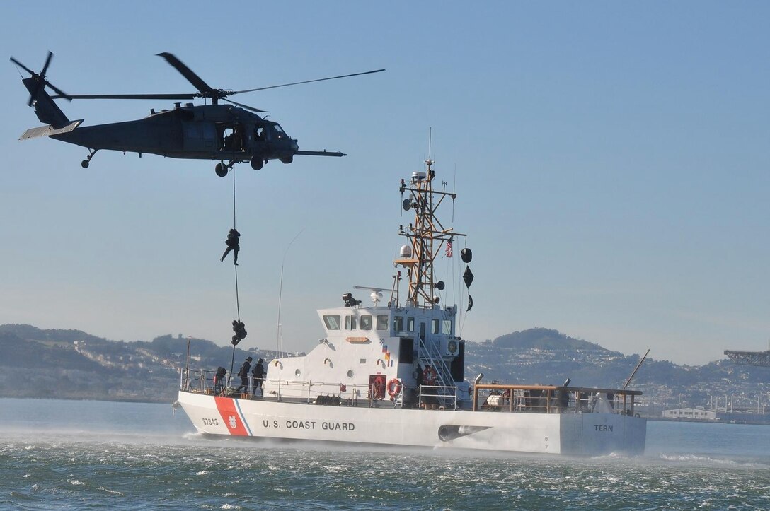 Members of the U.S. Coast Guard Maritime Safety and Security Team 91105 descend from a U.S. Air Force HH-60G Pave Hawk from the 129th Rescue Wing, California Air National Guard, Moffett Federal Airfield, Calif., onto the Coast Guard cutter Tern in the San Francisco Bay Jan. 28, 2009. Crewmembers conducted vertical insertion training, which is a fast-paced technique used to effectively deploy law enforcement teams to a high-risk situation. Shortly after the training was completed, the 129th RQW and Coast Guard crews rescued a downed pilot near Pillar Point, Calif. (U.S. Coast Guard photo by Petty Officer 3rd Class Melissa Hauck)