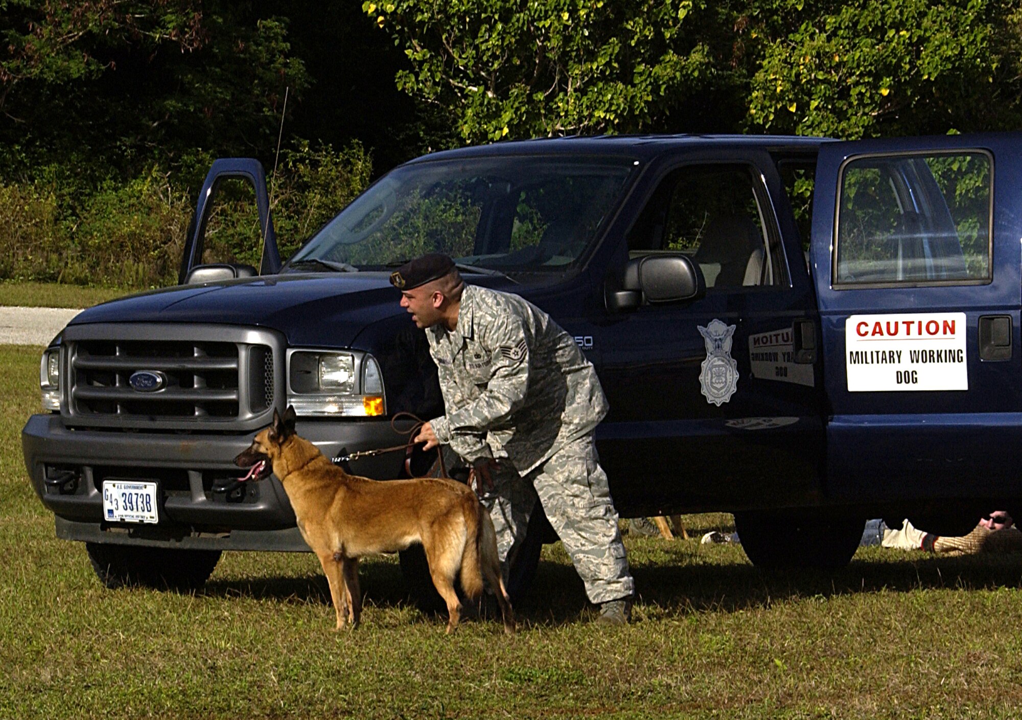 ANDERSEN AIR FORCE BASE, Guam -- Staff Sgt. Jorge Davila, 36th Security Forces Squadron military working dog handler, prepares his partner Cila to catch a perpetrator during a MWD competition here Feb. 2. The MWD competition was the first event of its kind held on Andersen.  The competition featured four 36th SFS MWD teams, one United States Department of Agriculture team and 36th SFS personnel volunteering as opposing forces. (U.S. Air Force photo by Airman 1st Class Carissa Wolff)