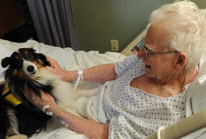 LANGLEY AIR FORCE BASE, Va. -- Gene Mohr, a retired technical sergeant, pets Molly, a 3-year-old Sheltie at Langley Hospital Jan. 30.  Mollie does about 10 animal assisted therapy visits throughout the Hampton Roads Area.  She has been visiting Langley Air Force Base weekly since January.  (U.S. Air Force photo/Airman 1st Class Zachary Wolf)