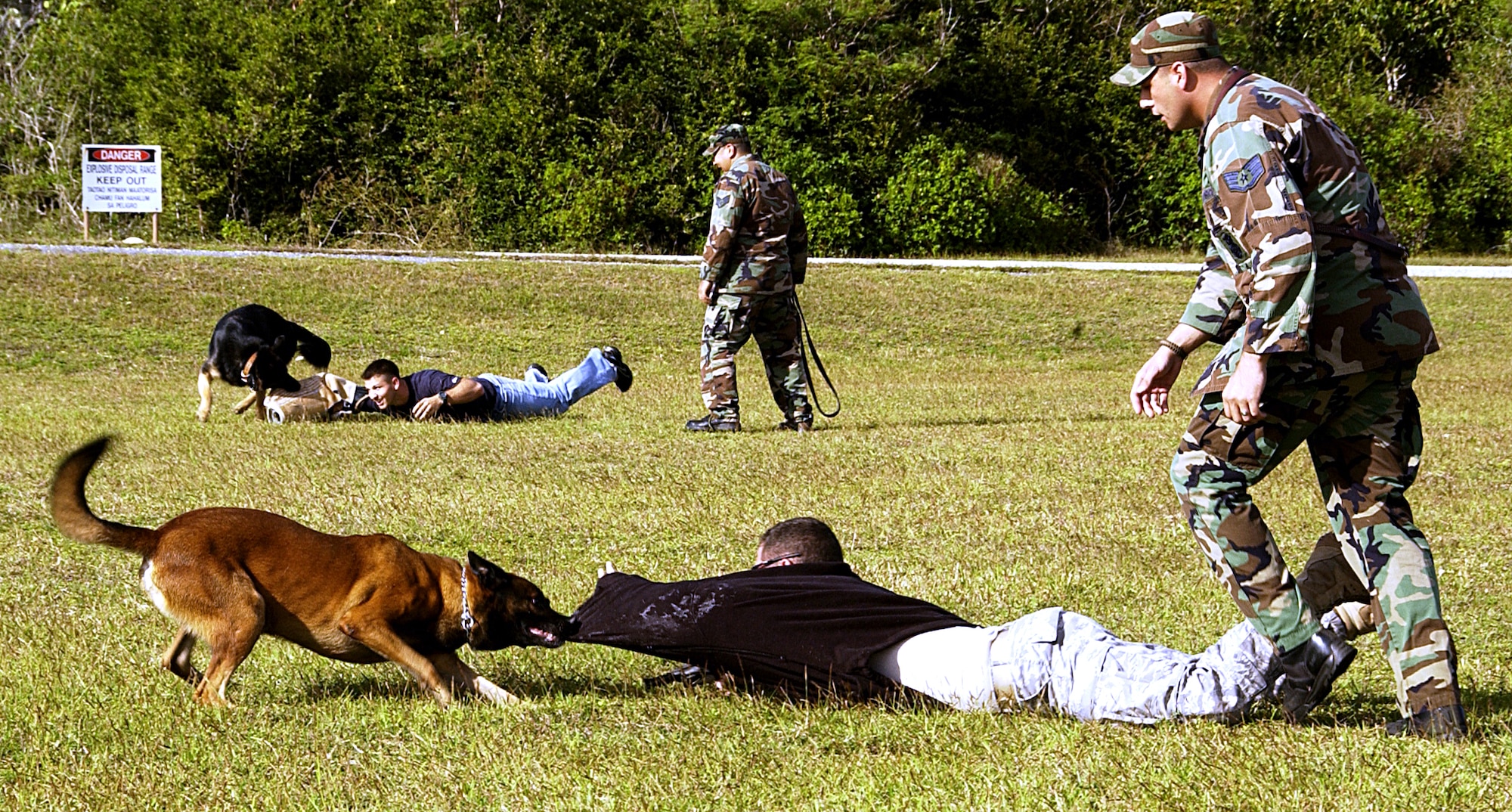 ANDERSEN AIR FORCE BASE, Guam -- Staff Sgts. Jose Meza and Casey Oullette, 36th Security Forces Squadron dog handlers, encourage their military working dogs "Big" Carlos and "Baby" Carlos to stop perpetrators Senior Airman Joel Congdon, a 36th SFS patrolman, and Staff Sgt. William Townsend, a 36th SFS dog handler, during a MWD competition here Feb. 2.  In the scenario, Team Shake and Bake were forced to respond when the two suspects became uncooperative during a high-risk traffic stop. Team Shake and Bake was one of five to compete in the competition hosted by 36th SFS. (U.S. Air Force photo by Airman 1st Class Carissa Wolff)