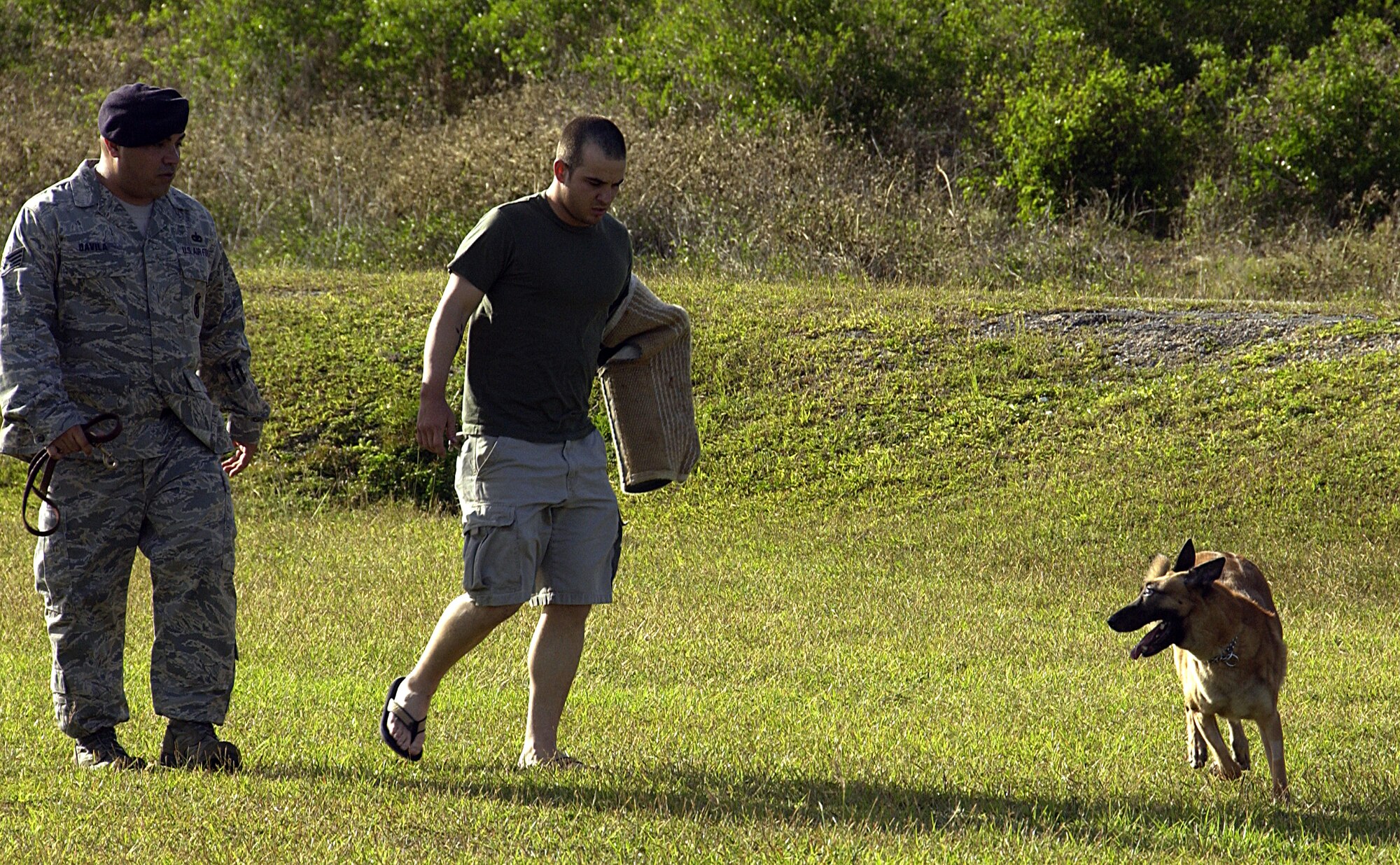 ANDERSEN AIR FORCE BASE, Guam -- Military working dog Cila guards as Staff Sgt. Jorge Davila, 36th SFS MWD handler,  escorts Airman 1st Class James Necessary, a 36th Security Forces patrolman acting as a perpetrator, to a vehicle during in a high-risk traffic stop scenario at a MWD competition held here Feb. 2. During the competition, military working dog teams faced a variety of scenarios designed to test their ability to work together and use their skills to accomplish the mission. (U.S. Air Force photo by Airman 1st Class Carissa Wolff)