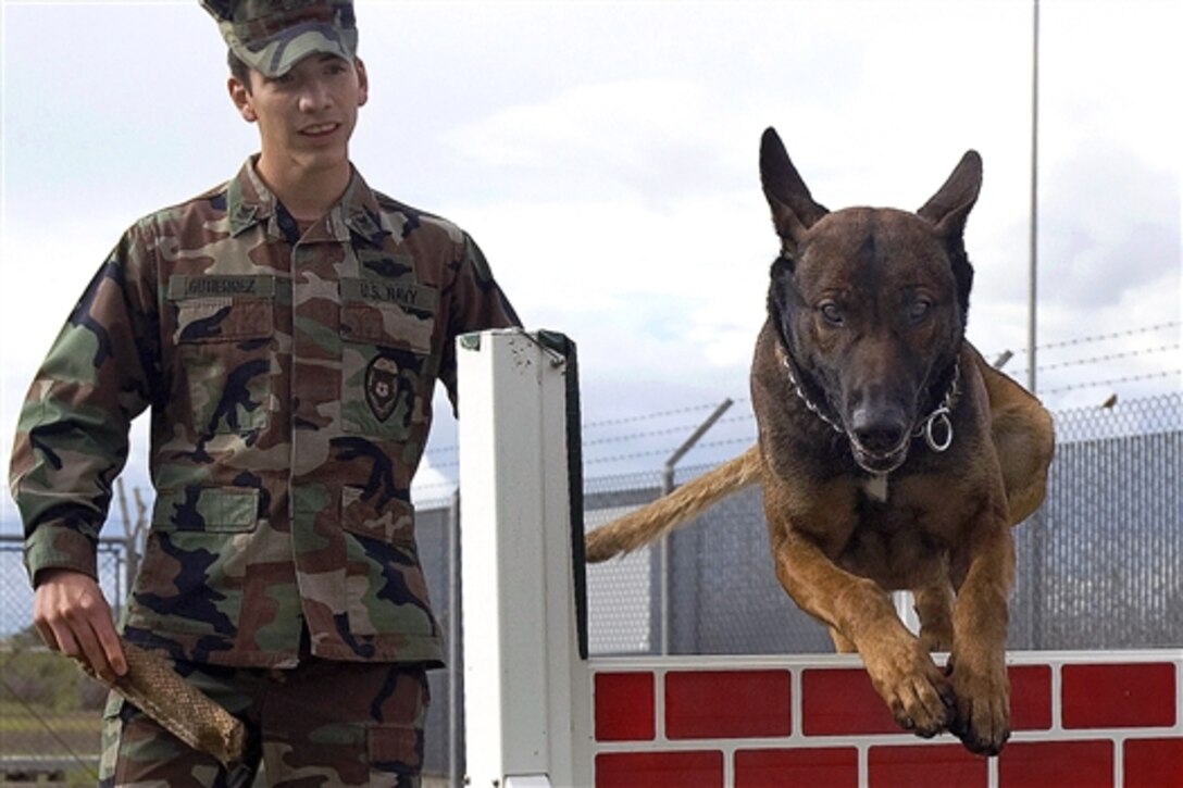 U.S. Navy Petty Officer 2nd Class David Gutierrez performs training exercises with his military working dog, Rico, at the obedience course on Naval Air Station Sigonella, Sicily, Jan. 28, 2009. Military working dogs fill an important role in the Navy by detecting weapons, explosives and narcotics.