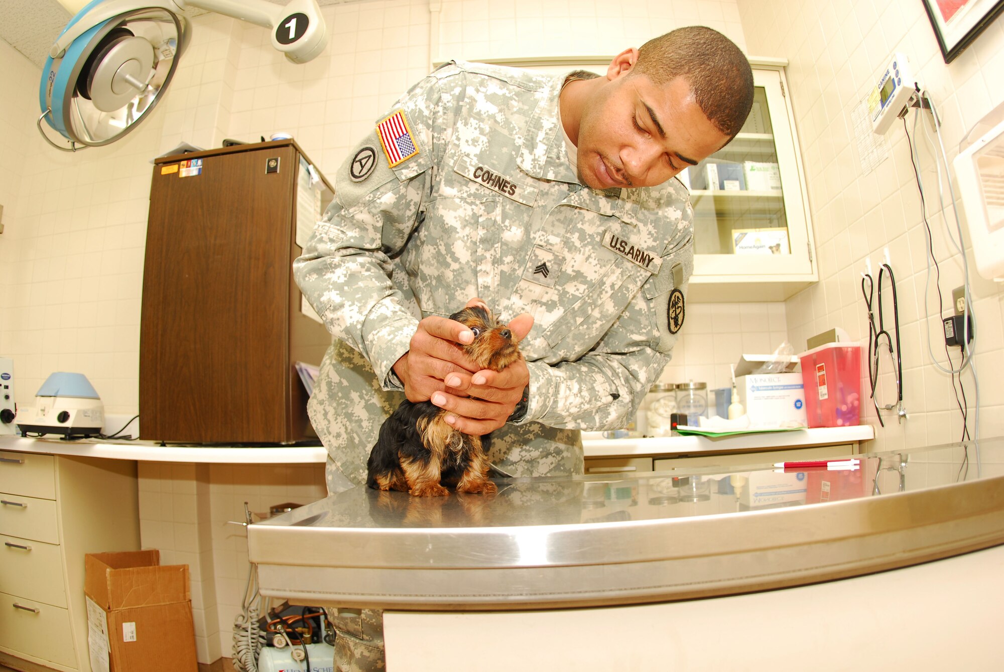 ALTUS AIR FORCE BASE, Okla. – Army Sgt. Johnny Cohnes, the NCOIC of Altus Veterinary Clinic, does a full body check over 8 month old Beautiful. Altus residents are encouraged to have their pets microchipped with an identification chip as soon as possible. An overseas PCS with a pet that is current on shots and has been microchipped makes the quarantine period shorter and smoother. (U.S. Air Force Photo/Airman 1st Class Leandra D. Hernandez) 