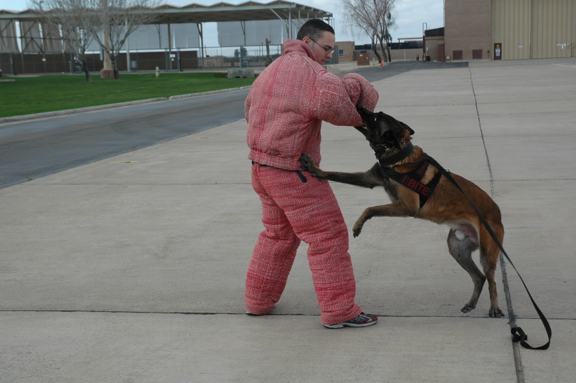 If a suspect makes a sudden movement, the military working dogs are trained to attack, even without the verbal command of their handler. The 56th Security Forces Squadron partnered with their reserve counterparts in the 944th Fighter Wing for the demonstration during the 944th Fighter Wing's annual Bosses Day Feb. 7. The 944th SFS welcomed home 37 of their members in January from a six-month deployment to Kirkuk Regional Air Base, Iraq. While there, four of the Reservists were certified as dog handlers. (U.S. Air Force photo/Tech. Sgt. Susan Stout) 