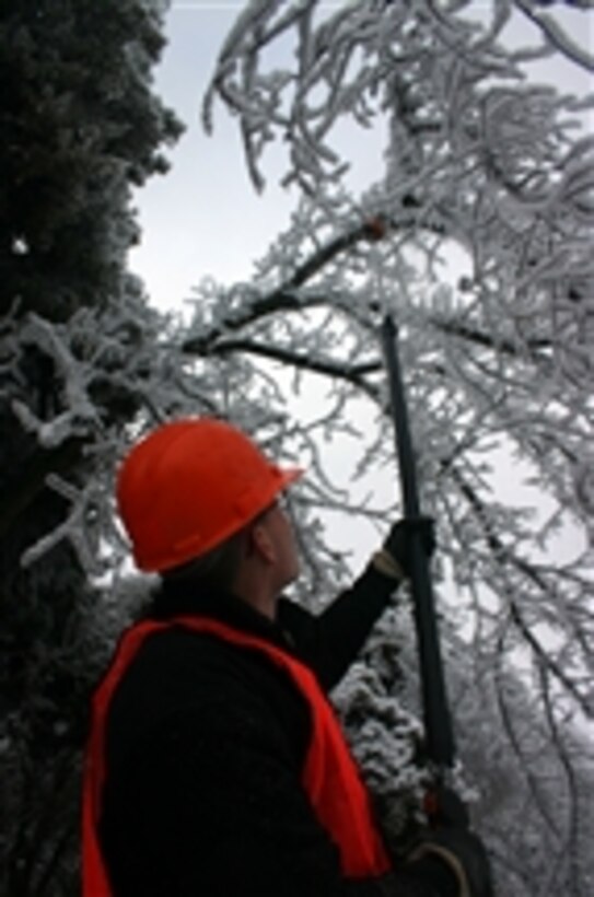 U.S. Army soldiers from Alpha Company, 103rd Brigade Support Battalion cut down trees beside roadways to prevent further damage from a recent ice storm in Kentucky on Jan. 28, 2009.  More than 500 soldiers from the Kentucky Army National Guard were mobilized in response to the storm to assist in clearing roadways, transporting supplies and securing shelters throughout the state.  