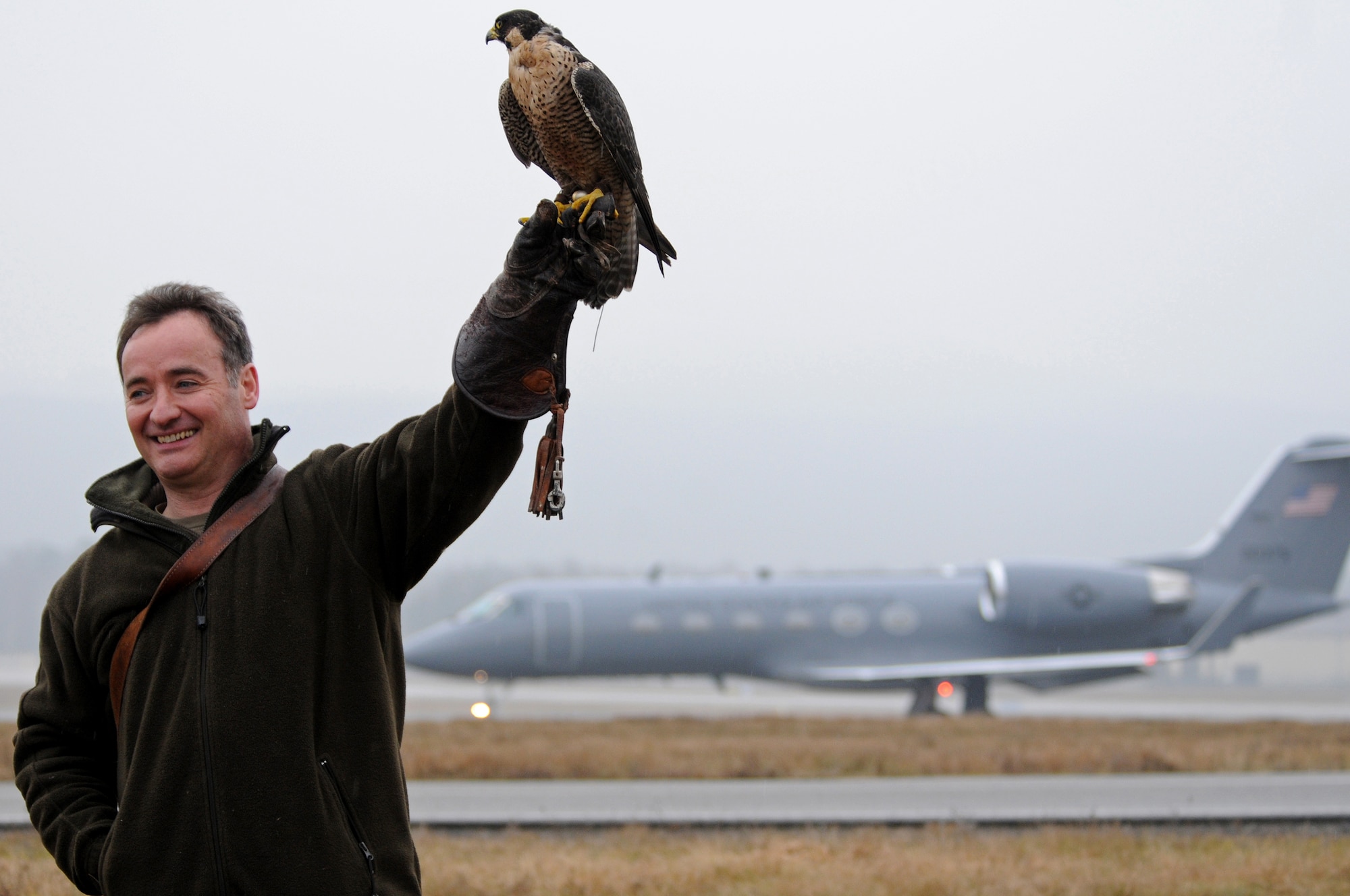 Charlie, a peregrine falcon, stands by with its handler for a call near the Ramstein Air Base flightline Feb. 4, 2009. Charlie scares all other birds off the flightline so they don't interfere with inbound or outbound flights. (U.S. Air Force photo by Airman 1st Class Grovert Fuentes-Contreras)