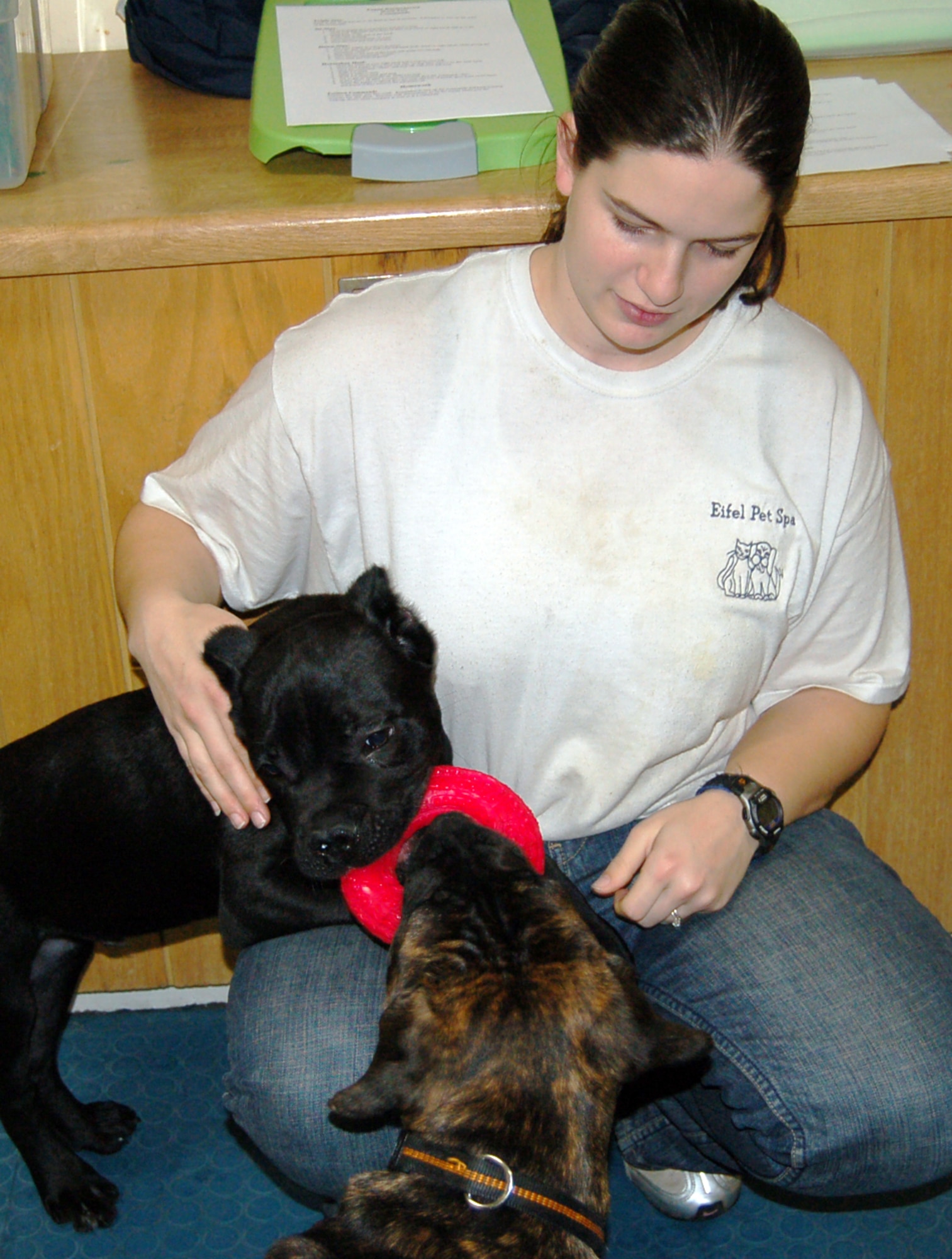 Kindergarten puppy training near hot sale me