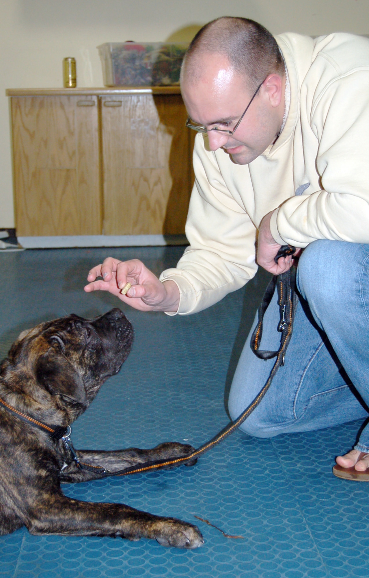 dog training classes