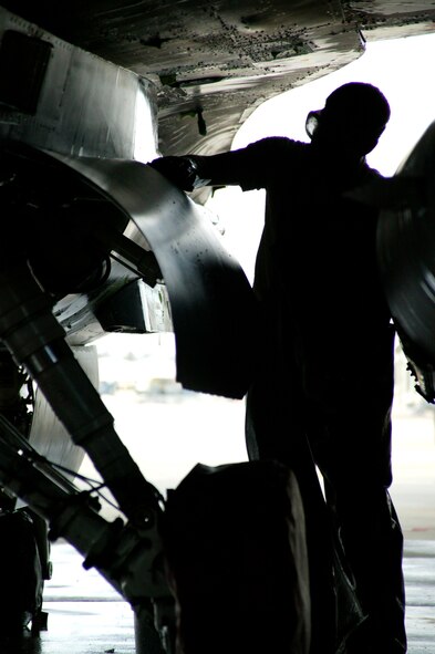 SHAW AIR FORCE BASE, S.C.-- 1st Lt. Shawn Herrmann, 20th Equipment Maintenance Squadron, scrubs an F-16 in the Wash Rack Feb. 10. Six maintenance group CGOs and four Airmen spent about three hours washing the F-16. The F-16s are washed every 60 days to keep them mission-ready. (U.S. Air Force photo/SSgt Holly Brown)