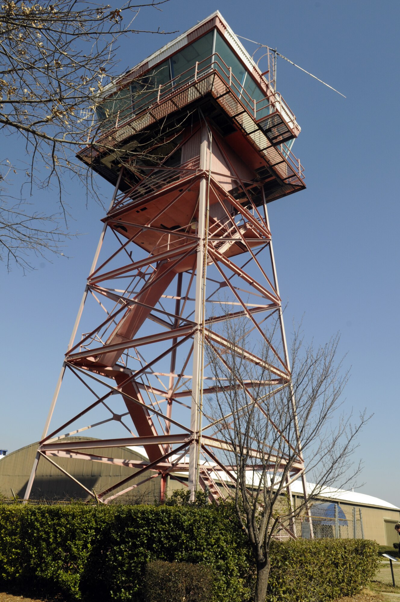 A hive of honey bees were removed and relocated from the old Cochran Field control tower now located at the Museum of Aviation Feb. 6. U. S. Air Force photo by Sue Sapp