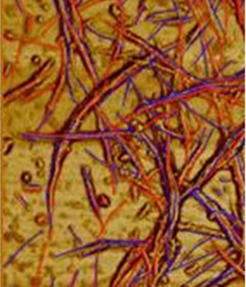 Transistors before processing: metallic carbon nanotubes are combined with semiconducting tubes. (Credit: DuPont)