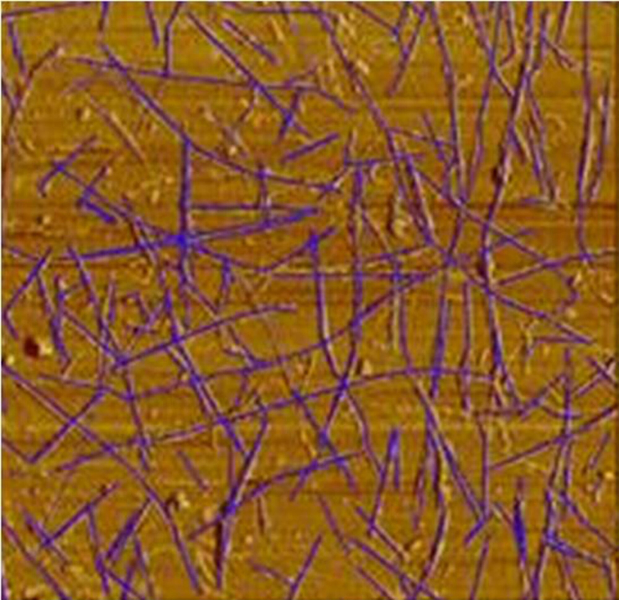 Transistors after processing: metallic carbon nanotubes have been removed from the semiconducting tubes. (Credit: DuPont)