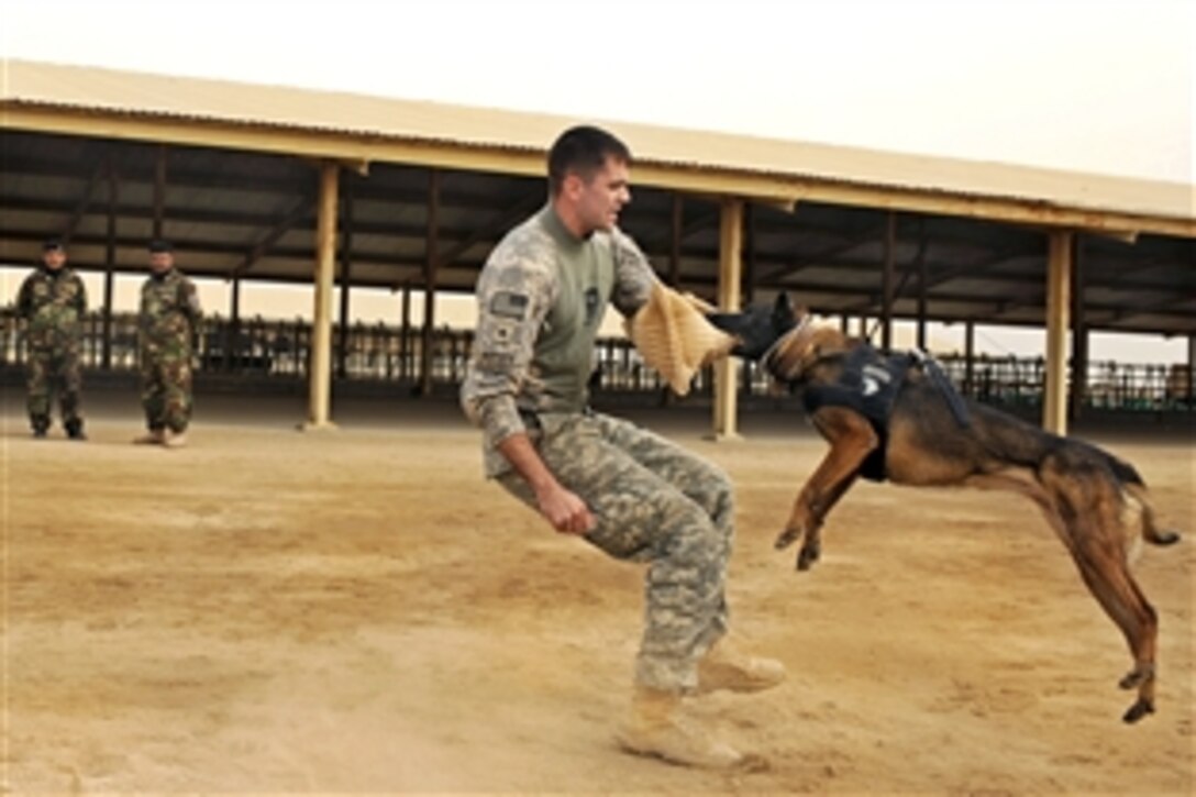U.S. Army Sgt. Tyler Barriere works with Ruby, a military working dog, as part of a demonstration to Iraqi police trainees at the Diwaniyah Police Academy in Diwaniyah, Iraq, Feb. 9, 2009. Barriere is assigned to the 4th Infantry Division's 2nd Battalion, 2nd Brigade Combat Team.