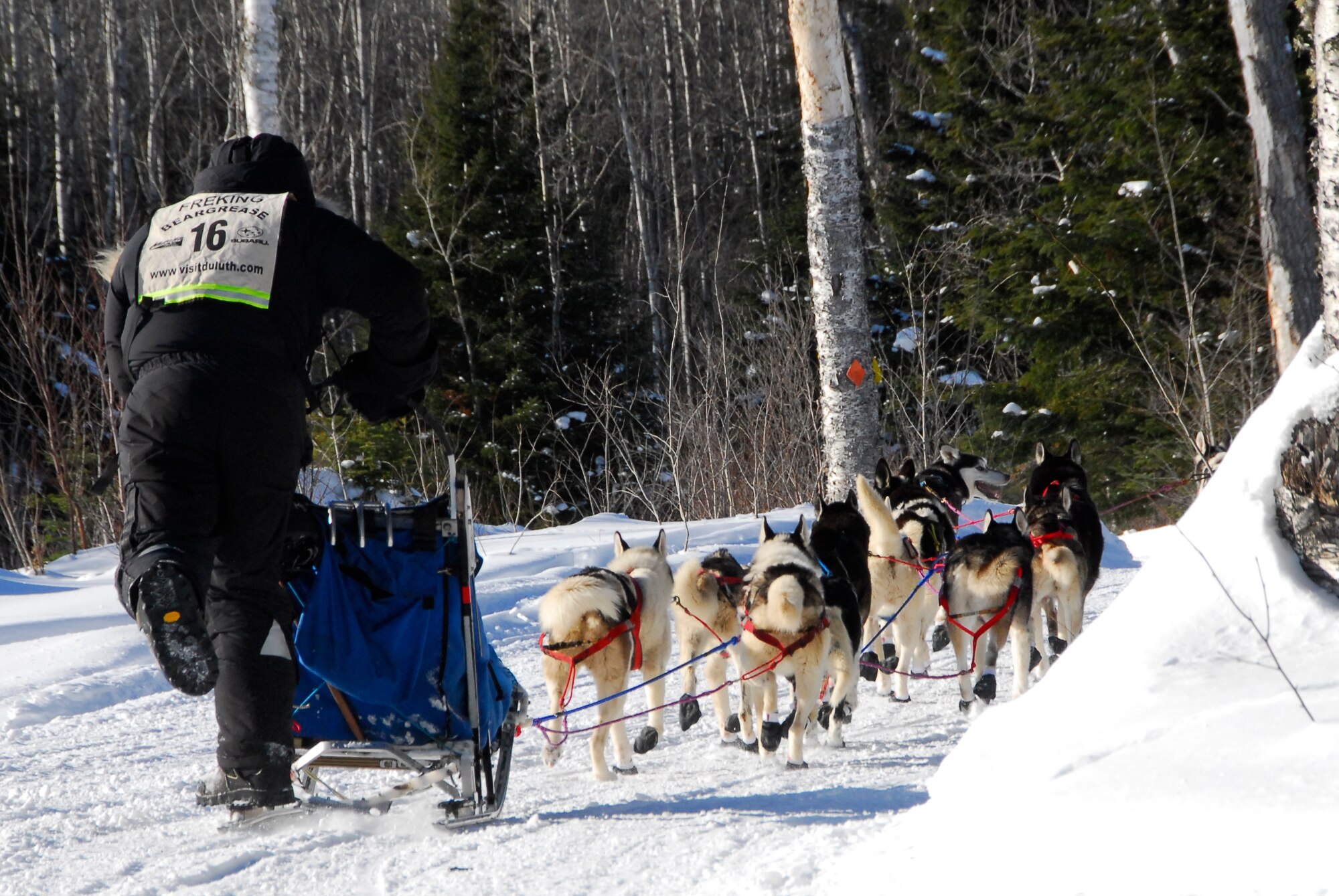 A sled-dog team in the 26th running of the John Beargrease Sled-dog Marathon passes by January 27, 2009 at a remote trail crossing in Northern Minnesota.  The 148th Fighter Wing Communication Squadron provided communication support for the race while conducting training. 