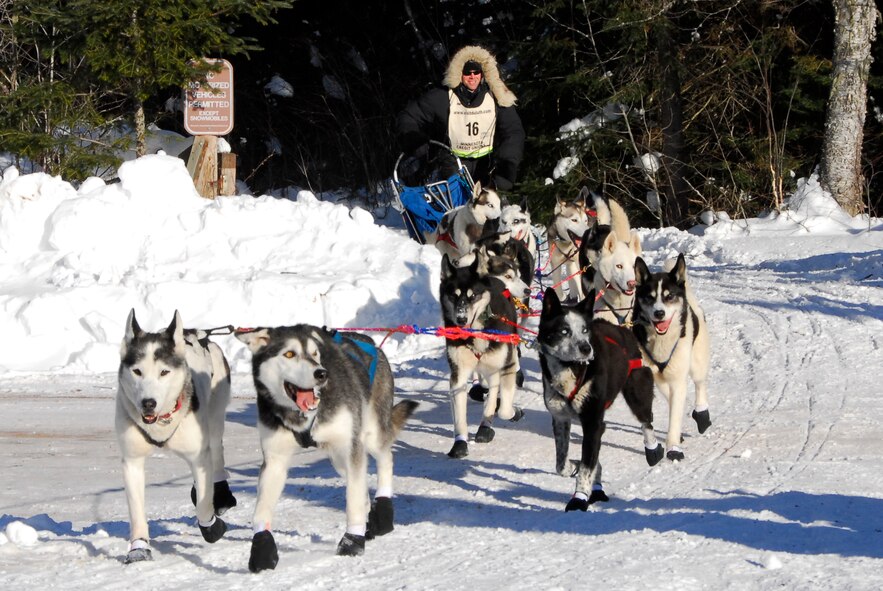 A sled-dog team in the 26th running of the John Beargrease Sled-dog Marathon passes by January 27, 2009 at a remote trail crossing in Northern Minnesota.  The 148th Fighter Wing Communication Squadron provided communication support for the race while conducting training. 