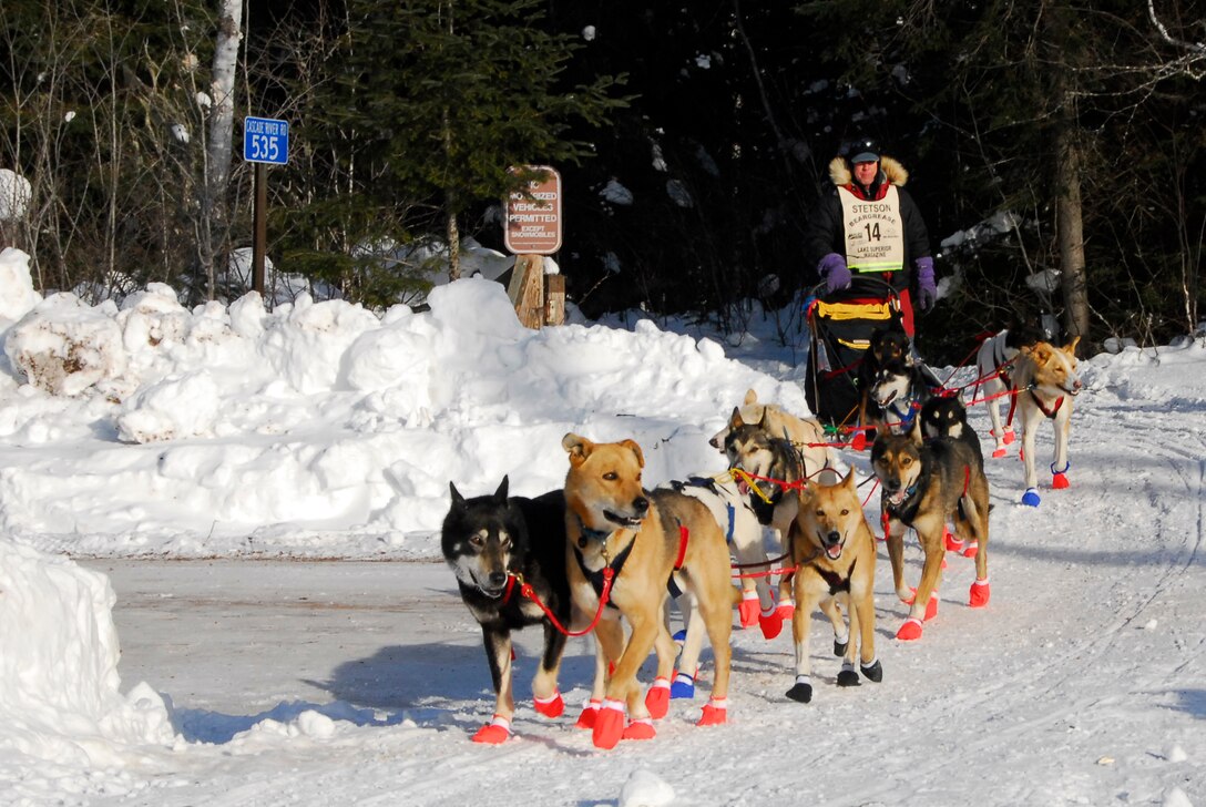 A sled-dog team in the 26th running of the John Beargrease Sled-dog Marathon passes by January 27, 2009 at a remote trail crossing in Northern Minnesota.  The 148th Fighter Wing Communication Squadron provided communication support for the race while conducting training. 