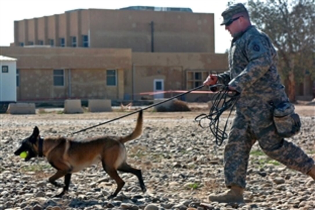 U.S. Army Staff Sgt. Robert Weddle and his military working dog, Elmo, successfully return after a “search” demonstration on Contingency Operating Base Speicher near Tikrit, Iraq, Feb. 12, 2009. Weddle is assigned to the 89th Military Police Brigade.