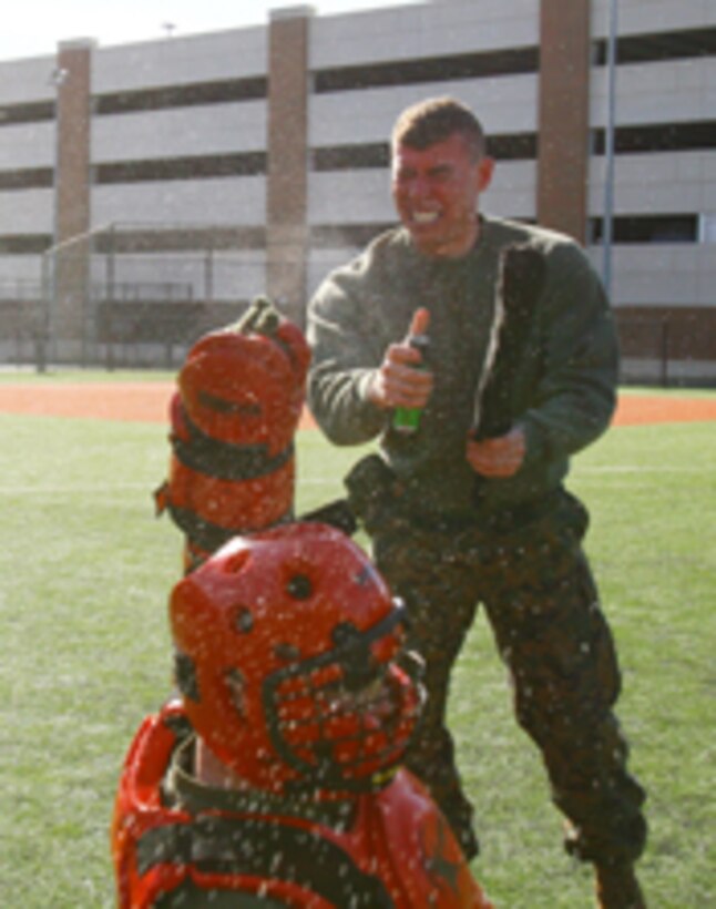 Sgt. Logan Wilburn, 2nd platoon sergeant, Bravo Company, Marine Barracks Washington, sprays a dummy  with simulated pepper spray during nonlethal tactics training at Marine Barracks Washington, Feb. 17. Wilburn, among many others, qualified for the use and instruction of oleoresin capsicum, or OC spray.