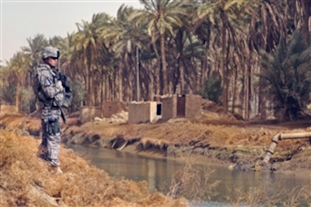 U.S. Army Sgt. 1st Class Robert Halstead surveys the river that will supply water to a treatment facility in Shamiyah, near Diwaniyah, Iraq, Feb. 11, 2009. Halstead is assigned to Headquarters and Headquarters Company, 2nd Special Troops Battalion, 2nd Brigade Combat Team, 4th Infantry Division. The soldiers of the unit assessed the progress of several construction projects in Diwaniyah.