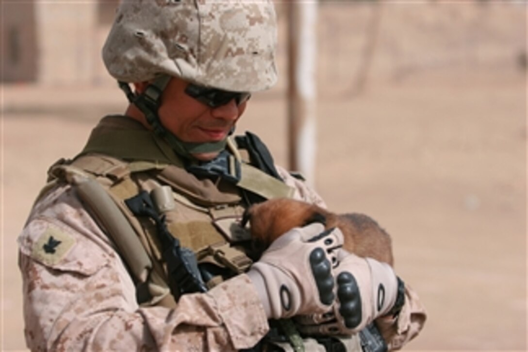 U.S. Navy Petty Officer 2nd Class Ryan K. Pule holds a puppy he found in the streets of Kabani, Iraq, on Feb. 11, 2009.  Pule is a Navy Corpsman supporting Marine Corps Brig. Gen. Juan G. Ayala's Personal Security Detachment during the ribbon cutting ceremony at Ashoor Primary School.  