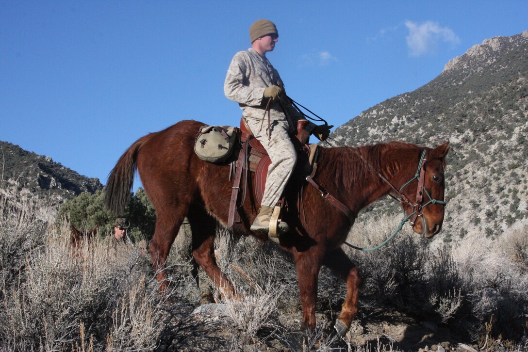 Sgt. John A. Freeshea, an animal packers course instructor at Marine Corps Mountain Warfare Training Center Bridgeport, Calif., leads the way on his horse Doc while animal packer course students follow with their mules during an exercise at the Hathorne Army Amunition Depot training grounds in Hawthorne, Calif., Feb 25.