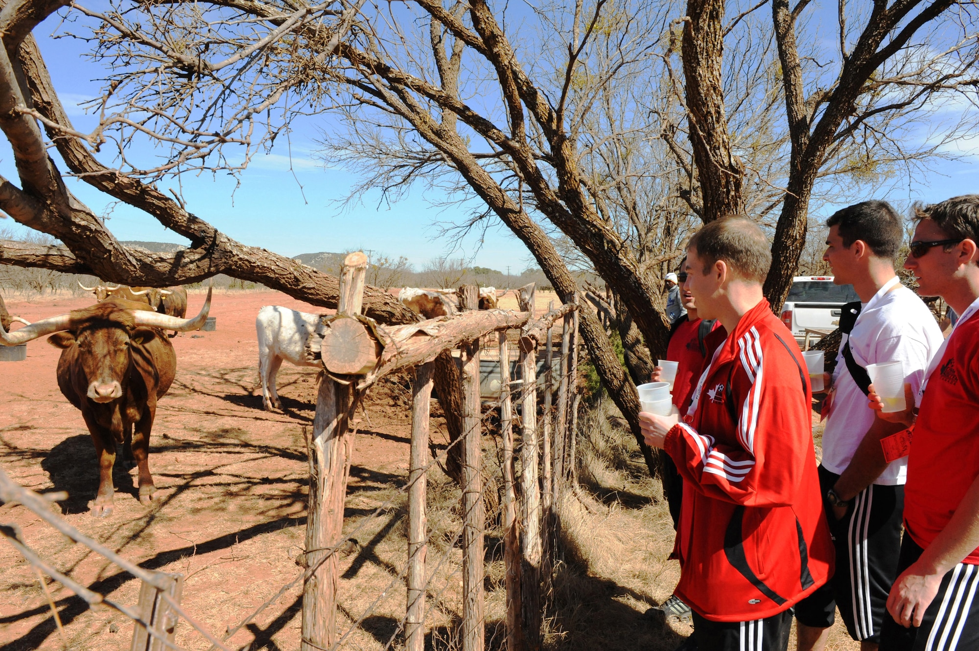 BUFFALO GAP, Texas -- Members from the Conseil International du Sport Militaire (CISM) competition enjoy a day off visiting local tourist attractions here, Feb 24.  The Canadian team gets up close to view Longhorn cattle during lunch behind Perini Ranch Steakhouse.  The day was filled visiting the Buffalo Gap Historical Village, Perini Ranch Steakhouse, Frontier Texas, and a trip to the Abilene Mall.  CISM promotes friendship through sports among the military and includes teams from Barbados, Brazil, Canada, Suriname, and the United States. (U.S. Air Force photo by Staff Sergeant Connor Estes) 