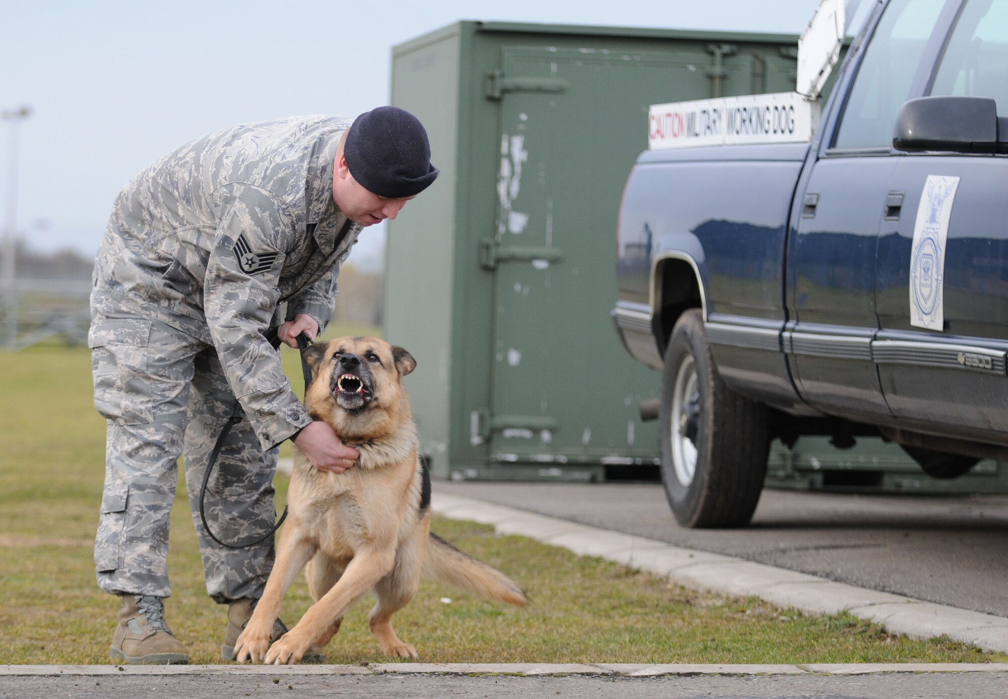 Staff Sgt. Joe Hayes III, 100th Security Forces Squadron Military Working Dog handler, holds back Military Working Dog Desant, as the K-9 bears his teeth and barks wildly after spotting cameras belonging to staff from the 100th Air Refueling Wing Public Affairs Office. MWD Desant was one of two 100th SFS dogs used during a short training session Feb. 12, when one of the PA staff got to wear the "bite suit" and experience what it is like to have the dogs "attack". (U.S. Air Force photo by Staff Sgt. Jerry Fleshman)
