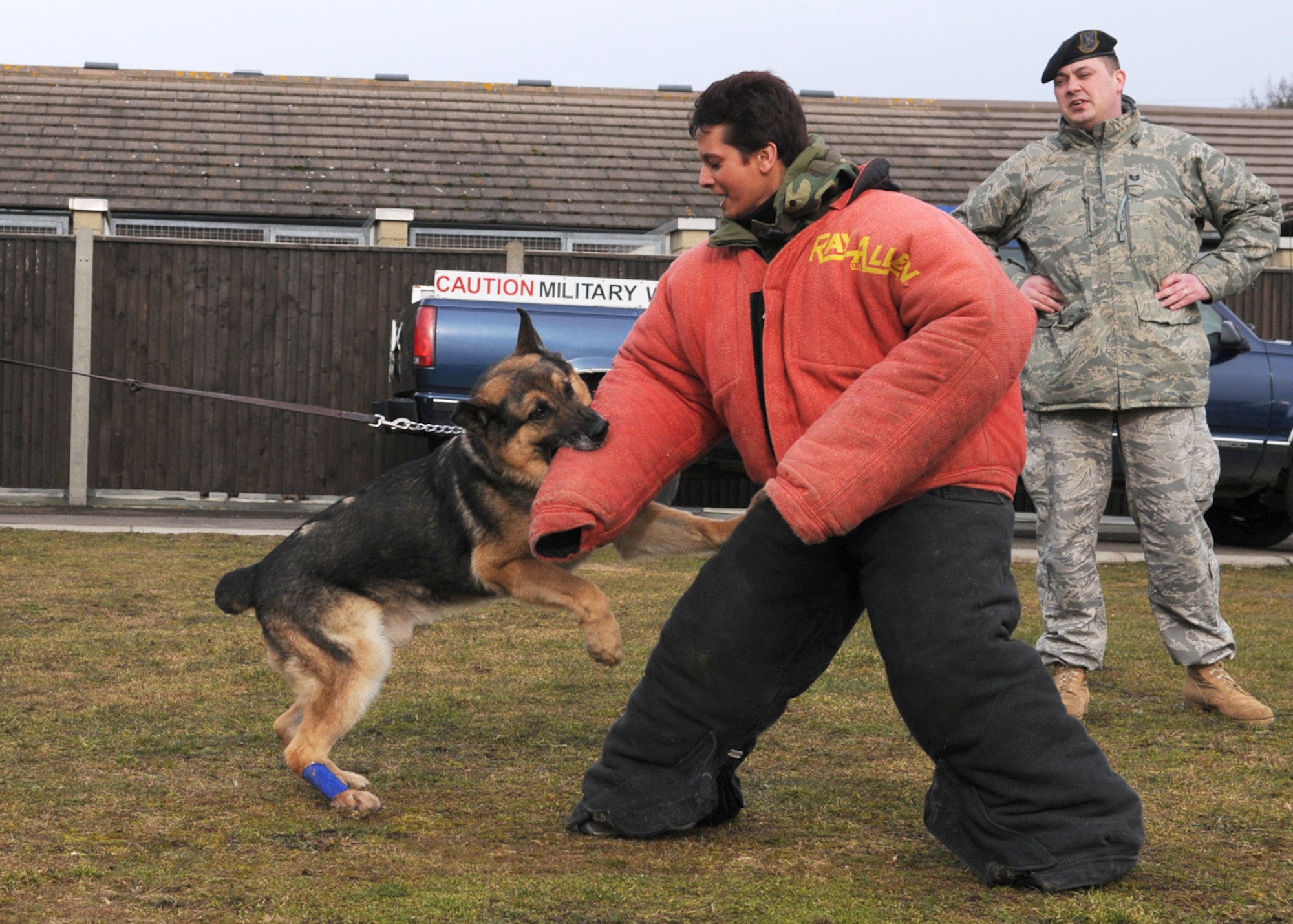 Military Working Dog Ronny, 100th Security Forces Squadron, gets a firm grip on the arm of Karen Abeyasekere, 100th Air Refueling Wing Public Affairs, Feb. 12, at the 100th SFS Military Working Dog section. Tech. Sgt. Bradley Donoghue, 100th SFS MWD kennel master, right, stands by to ensure Ms. Abeyasekere stays safe at all times as she wears the "bite suit" for some training with the MWDs. The bite suit is used to protect the decoy from injury, as it is very thickly padded, as well as giving the dogs more than just an arm to bite. This is just one of the many forms of training the MWDs undergo on a regular basis. (U.S. Air Force photo by Staff Sgt. Jerry Fleshman) 