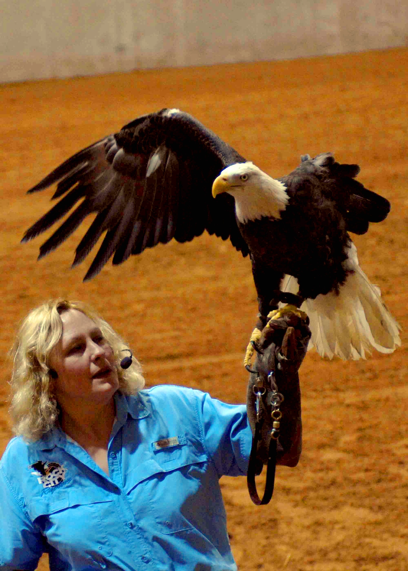CANNON AIR FORCE BASE, N.M. -- Dale Stokes from the American Eagle Foundation and a master-rated Falconer, presents Atsa Yazhi, "Little Eagle," in Navaho, at the Curry County Special Events Center Feb. 25. The Save Our American Raptors program was brought to Clovis through donations from the local Fraternal Order of Eagles Lodge 3245 and other lodges. (U.S. Air Force photo/Airman 1st Class James Bell)