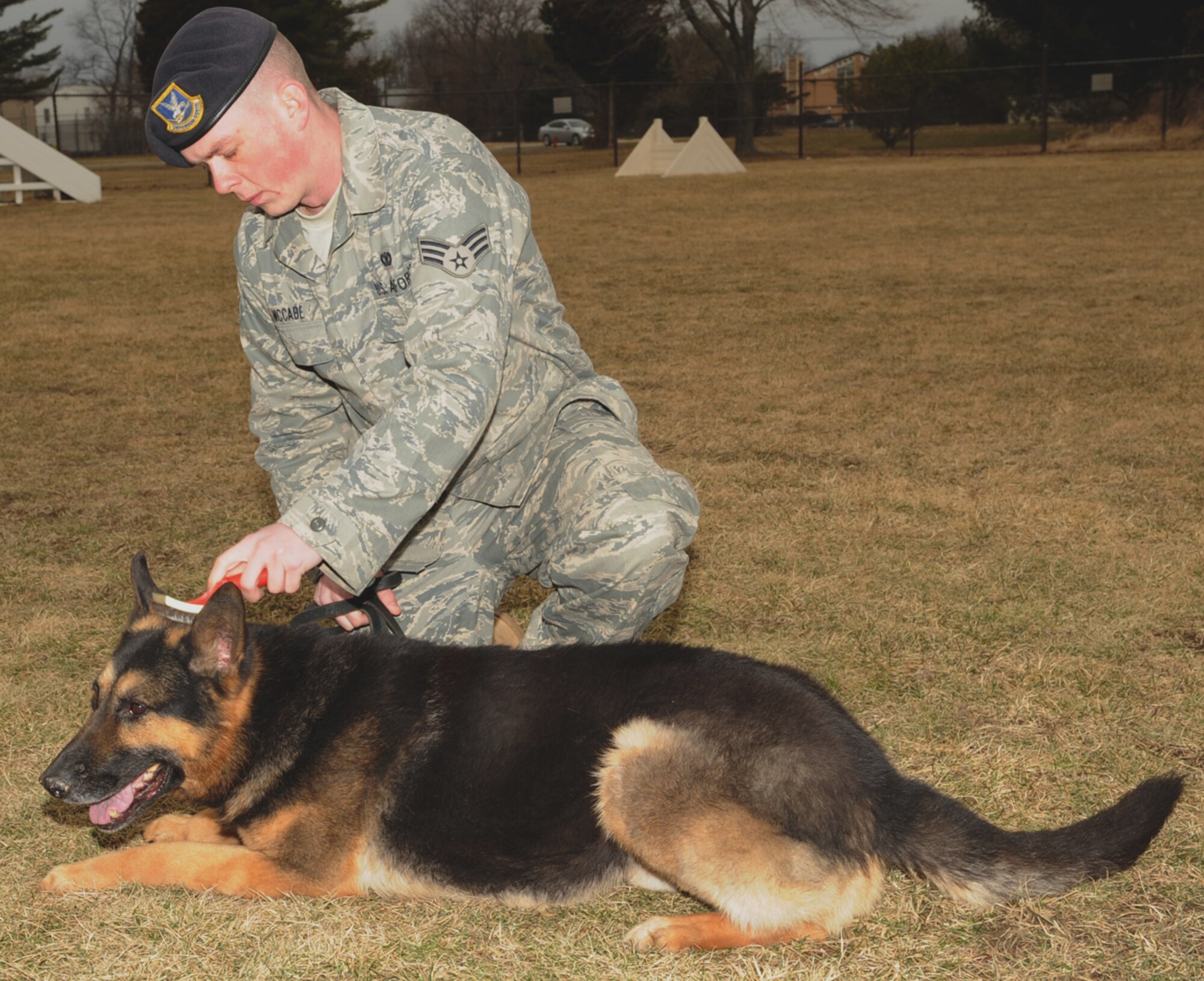 Senior Airman Mike McCabe, 818th Contingency Response Group Raven, brushes Polo, 305th SFS military working dog. Airman McCabe is “on loan” from the 818th CRG and is scheduled to cross train and become a handler in March. Polo will be adopted soon. Although Polo is up for adoption, he is still groomed and exercised daily. Military working dogs can work for up to 12 years, then usually “retire” because of health reasons and are put up for adoption. The dog’s handler usually has the first option to adopt, but they can also be adopted by civilian law enforcement agencies with more relaxed operation standards than the military. All adoptions are screened and approval is only granted through Lackland AFB, Texas. (U.S. Air Force photo/Wayne Russell)

