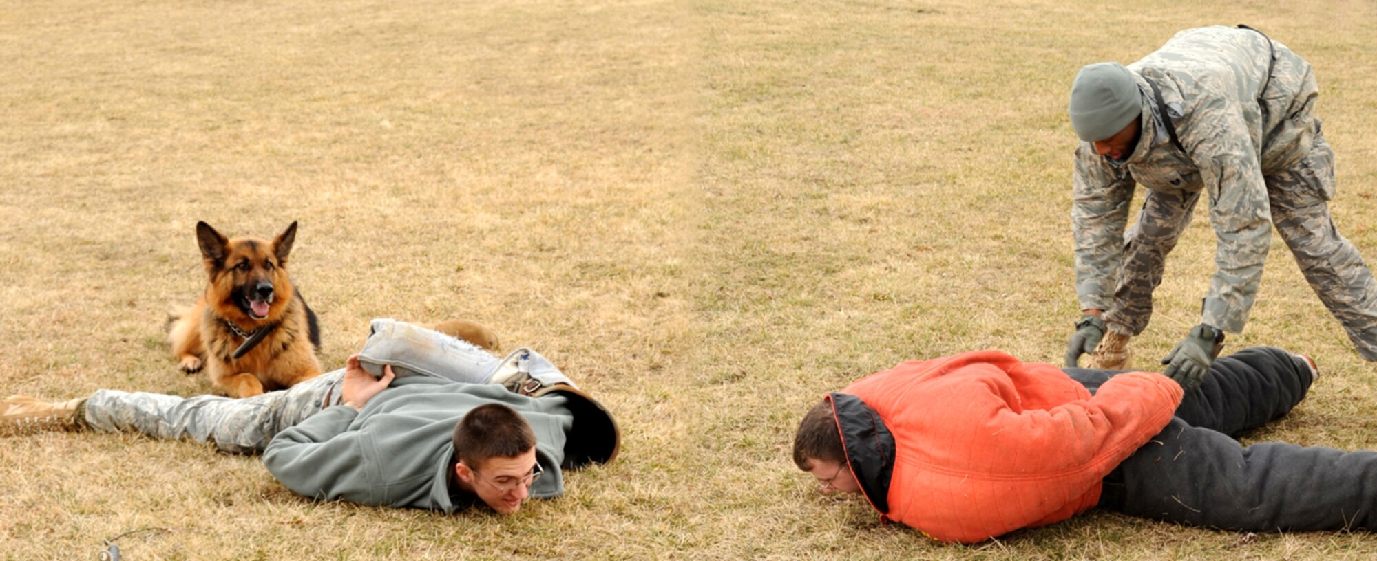 The 305th Security Forces Squadron Military Working Dog Section is constantly training and team bonding. Here Tech. Sgt. Andre Brooks, handler, and Rambo practice a tandem takedown of training assailants (left) Senior Airman Ryan Knoph, handler, and (right) Staff Sgt. Stephen Upton, kennel master and trainer. During a tandem takedown, the handler pats down and detains one suspect while the dog watches the other suspect. Any sudden or aggressive movement by the assailant under the watch of the dog puts him back into “takedown mode”. This is just one example of how the team - dog and handler - protects each other. (U.S. Air Force photo/Wayne Russell)