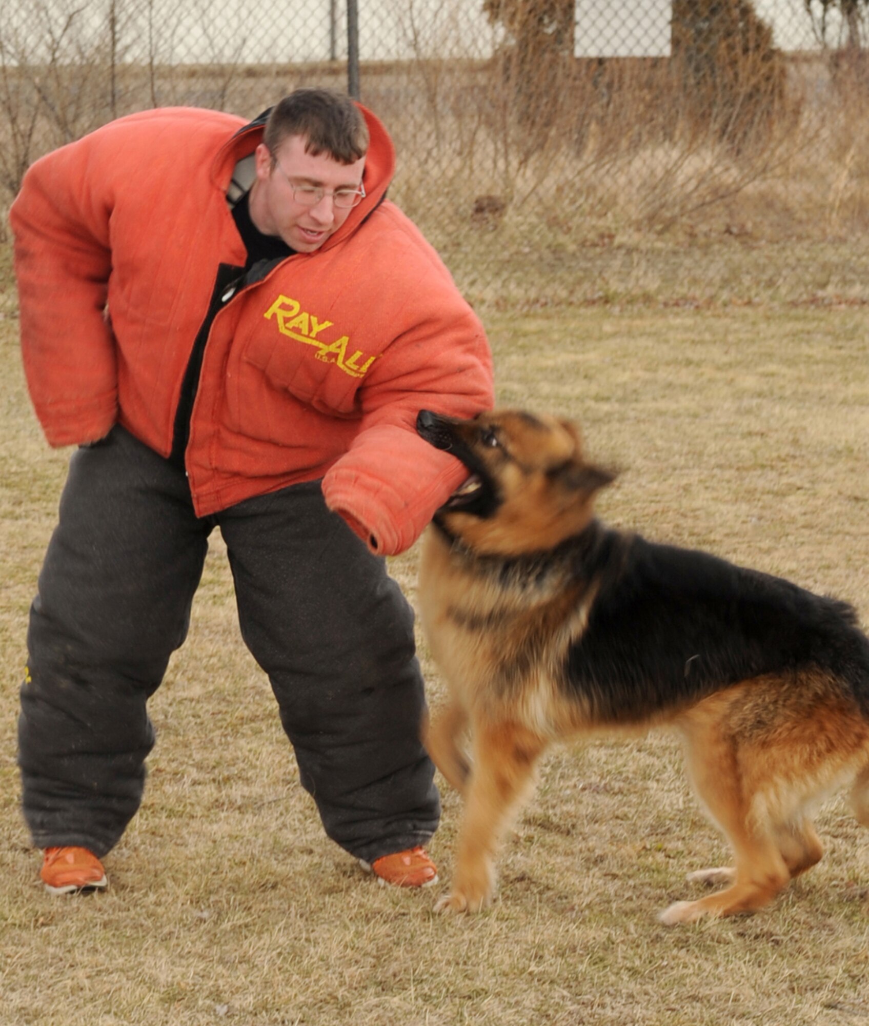 Wearing a “bite suit”, Staff Sgt. Stephen Upton, 305th Security Forces Squadron Military Working Dog Section kennel master and trainer, plays the part of bad guy while Rambo brings him down. The purpose for the bite suit is so the dogs can practice other takedown points like legs and either arm unlike the wrap, a single-arm pad, which only allows the dog to practice on one arm. The 305th SFS Military Working Dog Section conducts random searches at the gates to McGuire AFB and also performs voluntary drug searches for McGuire members on any recently purchased used car. (U.S. Air Force photo/Wayne Russell)

