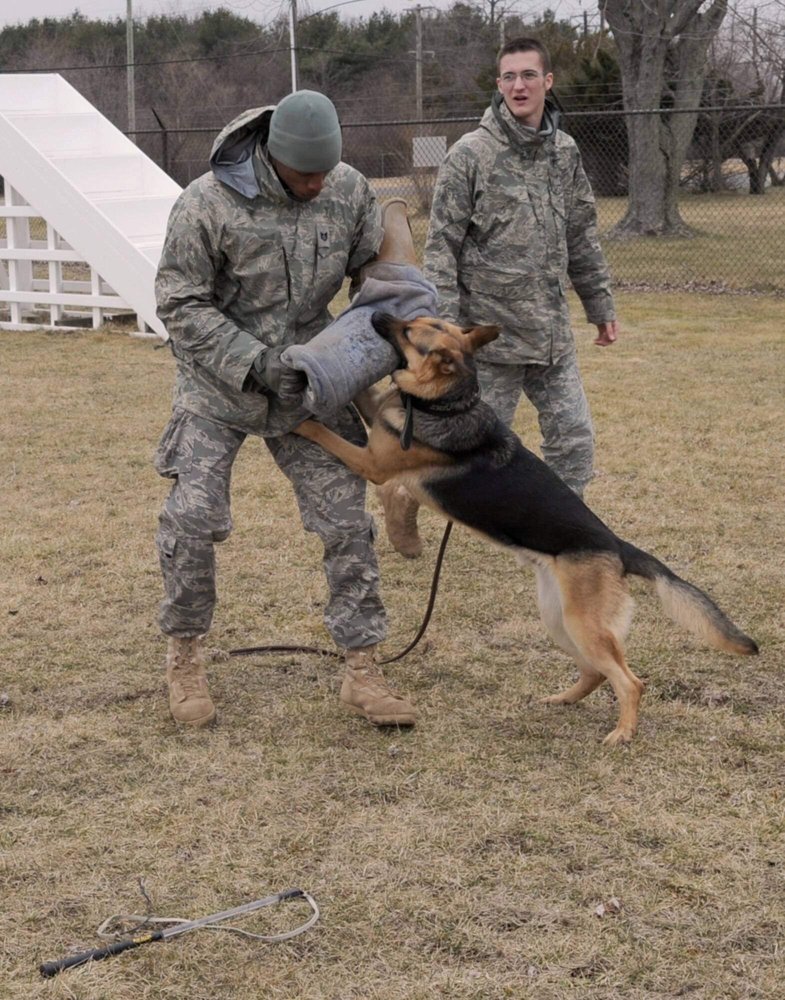 All military working dogs are also trained in regular patrol. Here, the 305th Security Forces Squadron Military working Dogs Section work on assailant subduing. Tech. Sgt. Andre Brooks, a 305th Security Forces Squadron dog handler playing the part of an assailant, used the aggression stick (on the ground), to aggravate Pito, a military working dog assigned to the 305th SFS. The stick, which makes a loud popping sound like a whip, works by sound and movement but is never used to strike a dog. Pito follows the commands of his handler, Senior Airman Ryan Knoph also of the 305th SFS; he is told when to attack (subdue) and when to heal, but he will only heal when the aggressor stops resisting. (U.S. Air Force photo/Wayne Russell)