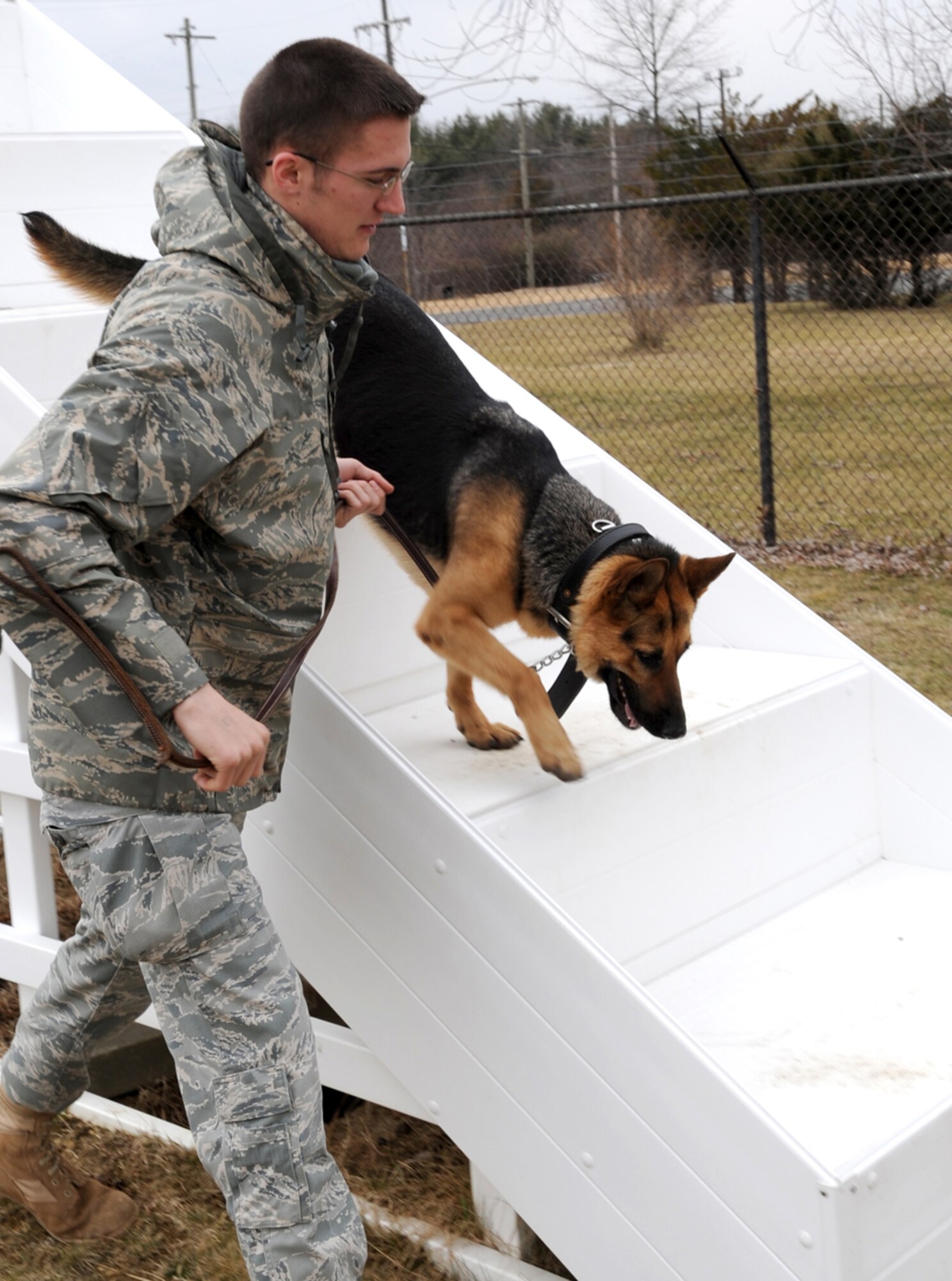 A daily run through the obstacle course is not only good exercise for Senior Airman Ryan Knoph and Pito, handler and military working dog of the 305th Security Forces Squadron, but also a vital part of their team building. Here, Pito practices going up and down steps, which help to get the dogs used to going up and down aircraft entrance stands. Military Working dogs start their training - like all military members - at Lackland AFB, Texas; they then get “assignment orders” to home stations to finish their training. (U.S. Air Force photo/Wayne Russell)