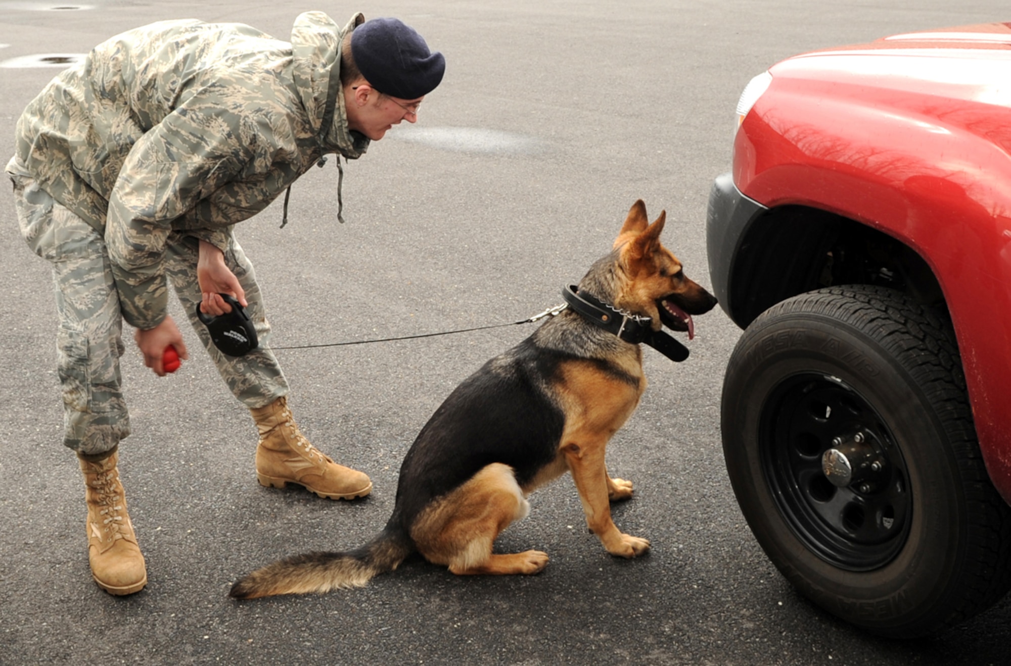 With eyes on the target, Pito, an explosives expert of the 305th Security Forces Squadron Military Working Dog Section, quietly points out the training target to Senior Airman Ryan Knoph, 305th SFS dog handler. A dog and his handler work as a team for at least two years. They not only support the base and deployments all around the world, but they are also on call at a moment’s notice to support the Secret Service along the northeast and on foreign soil. (U.S. Air Force photo/Wayne Russell)