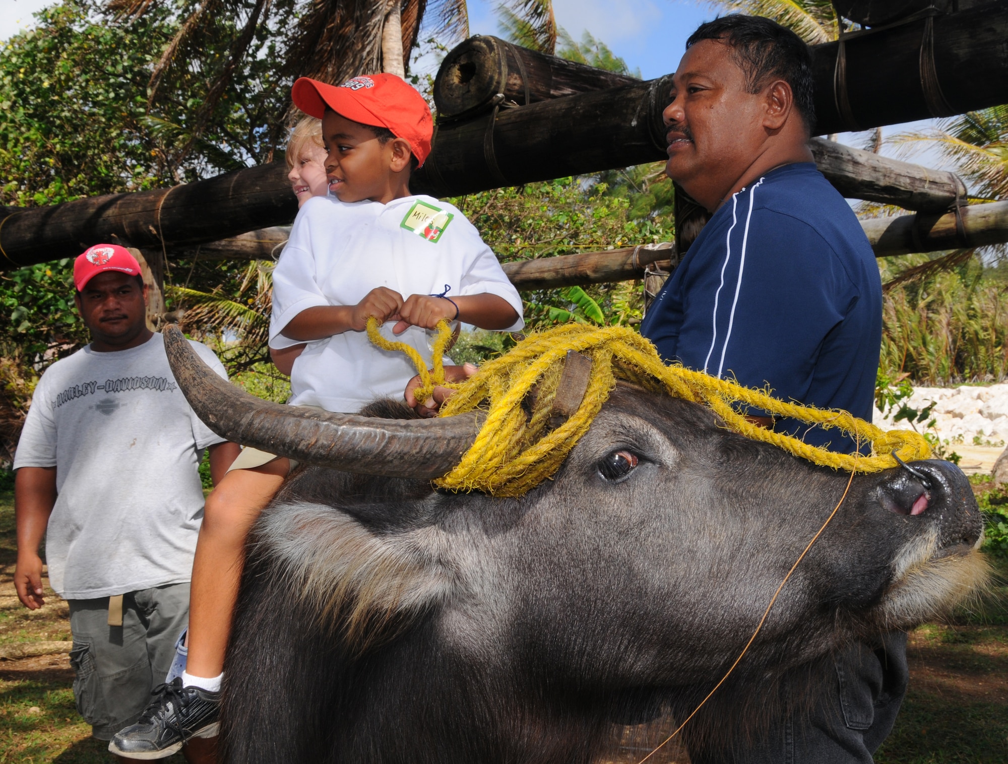 ANDERSEN AIR FORCE BASE, Guam - Elijah Mosely, a student at Andersen Elementary School, rides a caribou during a field trip to Gef Pa'go Park in historic Inalahan, Guam Feb. 24. Along with the caribou ride, the students learned how to make coconut candy, rope and salt.  (U.S. Air Force photo by Staff Sgt. Jamie Lessard)